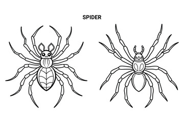Editable Spider Isolated Outline Vector Illustration
