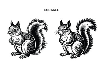 Editable Silhouette Squirrel Isolated Vector Illustration