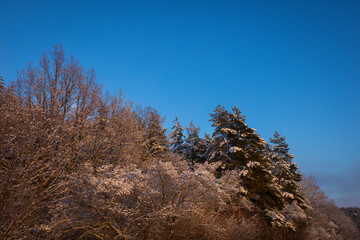 frosty morning and hoarfrost outside the city