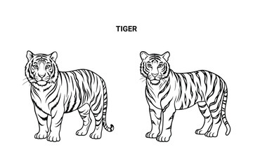 Editable Tiger Isolated Outline Vector Illustration