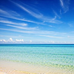 Obraz premium peaceful quiet paradise seascape beautiful seashore under moon light