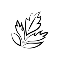 Vector illustration. Vegetables icons, classic line series. Sketch style. Halves, slices, rings and leaf of tomatoes. Hand drawn kitchen ingredients template for culinary themes.