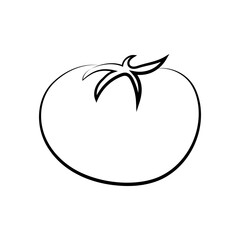 Vector illustration. Vegetables icons, classic line series. Sketch style. Halves, slices, rings and leaf of tomatoes. Hand drawn kitchen ingredients template for culinary themes.