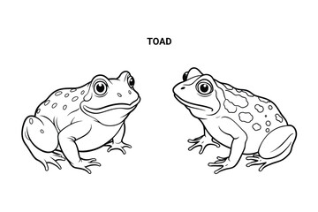 Editable Toad Isolated Outline Vector Illustration