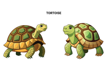 Customizable Tortoise Isolated Vector Illustration
