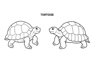 Editable Tortoise Isolated Outline Vector Illustration
