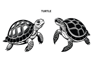 Customizable Turtle Isolated Vector Illustration