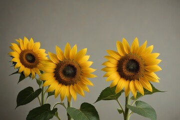 Obraz premium there are three sunflowers in a vase with green leaves