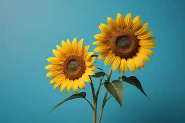 Obraz premium there are two sunflowers that are in a vase on a table