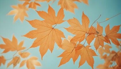 Fototapeta premium Hojas de color naranja que caen sobre un fondo azul borroso, creando una serena escena otoñal
