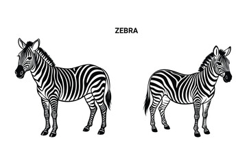 Editable Silhouette Zebra Isolated Vector Illustration