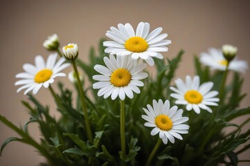 Obraz premium there are many white flowers in a vase with green leaves