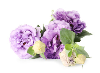 Beautiful violet eustoma flowers with green leaves isolated on white