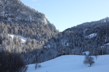winter hiking in Allières, Switzerland