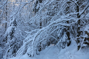 winter hiking in Alli&egrave;res, Switzerland