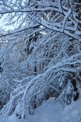 winter hiking in Allières, Switzerland