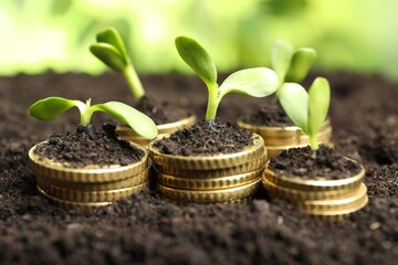 Stacks of coins with green plants on soil against blurred background, closeup. Money growth concept