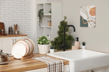 Sink, plates and houseplants on counter in interior of kitchen