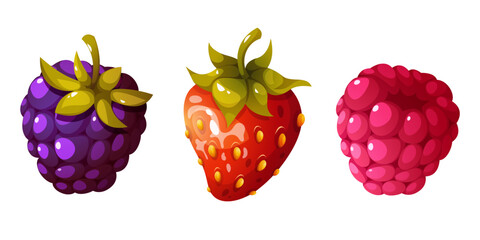 Vector set of berries. Strawberry, raspberry and blackberry
