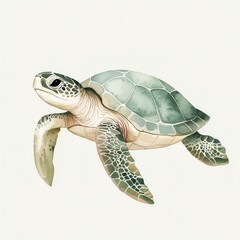 Cute watercolor sea turtle in soft green and beige colors for kids' rooms.