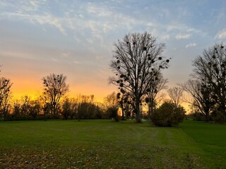 Naklejka premium Sunset Urdenbach