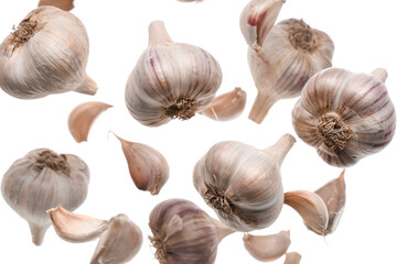 Flying fresh garlic and cloves on white background