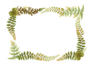 Rectangular wreath with fern leaves botanical card template in earth tone. Hand drawn watercolor horizontal floral frame. Perfect for the use of ecological material and sustainable designs.