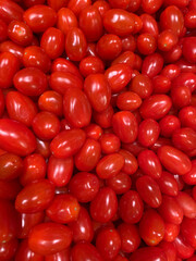 Cherry tomatoes, freshly harvested