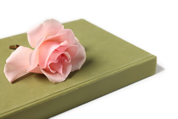 Book and beautiful rose flower on white table, closeup