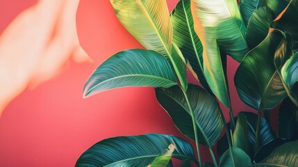 Obraz premium Lush green tropical leaves against a warm background