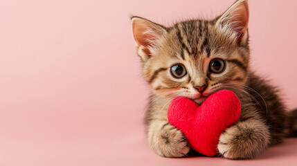 cute funny cat with heart for valentine's day