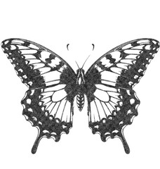 Monarch Butterfly in Old OverPrint Style