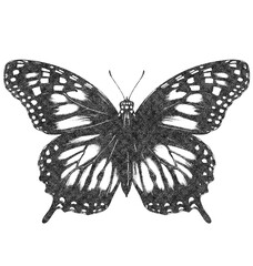 Monarch Butterfly in Old OverPrint Style