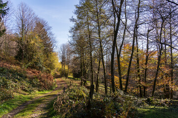 Obraz premium Joli paysage de Drumont à Bussang en Automne