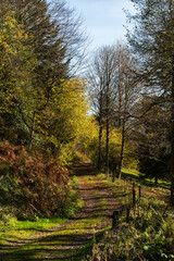 Joli paysage de Drumont &agrave; Bussang en Automne