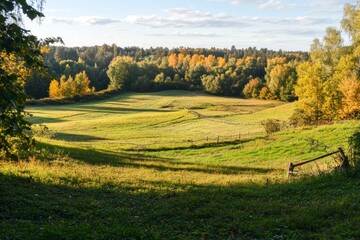 autumn landscape with trees