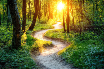 Obraz premium Serene forest path winding through lush greenery at sunrise