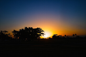 Atardecer en un parque con naturaleza de fondo