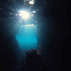 Obraz premium view of a reef, underwater, sea, ocean