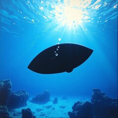 Fototapeta premium view of a reef, underwater, sea, ocean