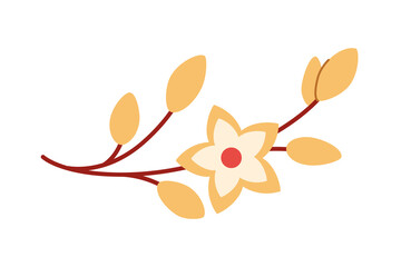 Branch with sakura flower. Chinese New Year element. White background.
