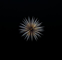 Yellow and white fireworks prominently displayed on a black background