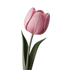 A 3D render of a cartoon-style pink tulip with a green stem. The tulip is isolated on a   transparent background. The tulip is in full bloom, with a smooth, rounded shape