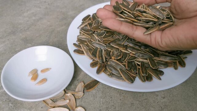 Hands with roasted Sunflower Seeds on white plate. 