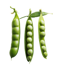 Fresh Green Pea Pods: A trio of vibrant green pea pods on transparent background, bursting with plump, juicy peas, showcases the freshness and vitality of this beloved vegetable.