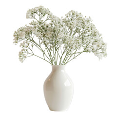 PNG Of A beautiful bouquet of white flowers in a sleek white vase, perfect for home decor, White or Transparent Background © Muddasar