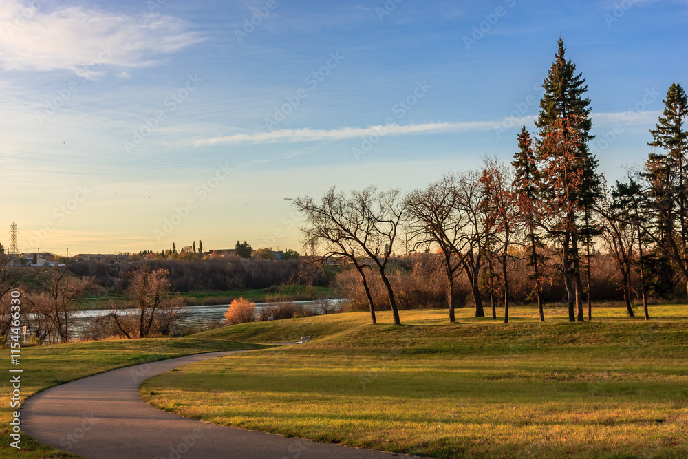 Wall mural a path winds through a park with trees and a river in the background