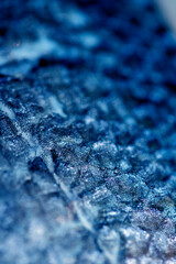 Close Up of Fish Skin and Scales With Sea Salt Abstract Macro Background Basa Cod © squeebcreative