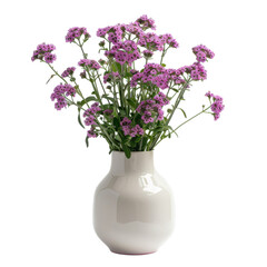 PNG Of A beautiful arrangement of pink flowers in a white ceramic vase, adding a touch of elegance to any space, White or Transparent Background