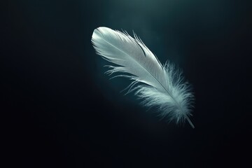 Single white feather floats in dark background, serene and peaceful.